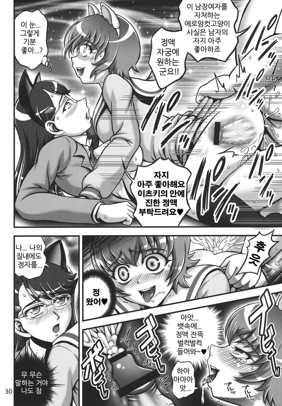 (C80) [Kuroyuki (Kakyouin Chiroru)] Milk Catches 1 (Heartcatch Precure!) [Korean] [KYR] - Page 29