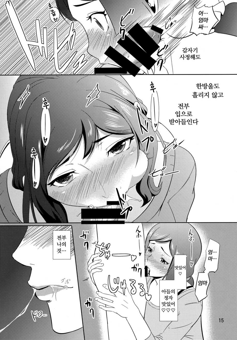 (C87) [Tenguren (Nario)] Boketsu o Horu 13 Iori Rinko | 모혈을 파다 13 -이오리 린코- (Gundam Build Fighters) [Korean] [팀 친엄마] - Page 14