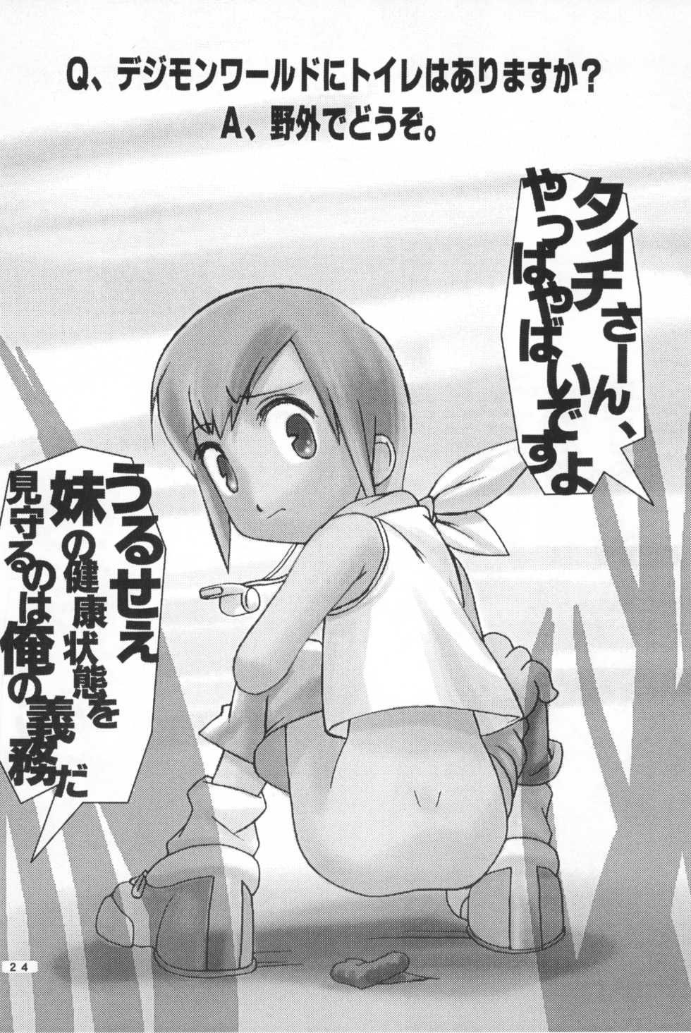 (C58) [Hitosuji Nawa (Ryo Kumagaya)] Hikarin (Digimon) - Page 24