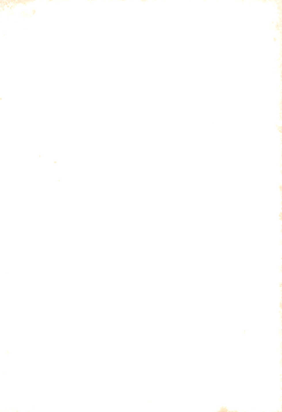 (Puniket 12) [Junk Castle (Shirohebidou)] Futa GO! (Fushigiboshi no Futagohime) - Page 2