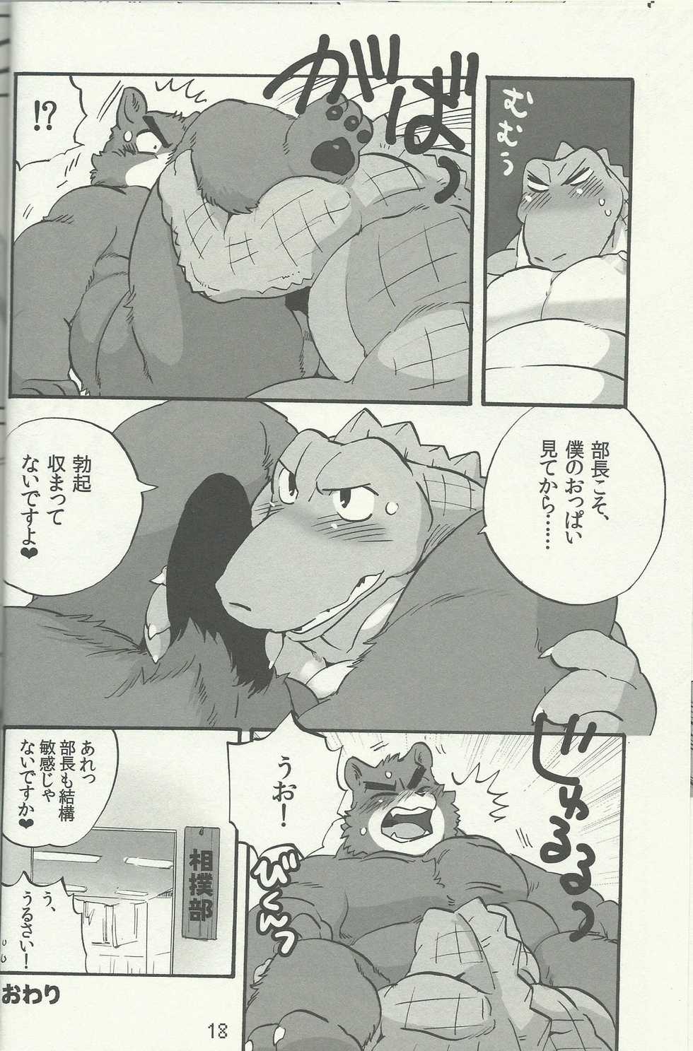 (Kemoket 4) [TFWS (Various)] DSKY Go - Page 18