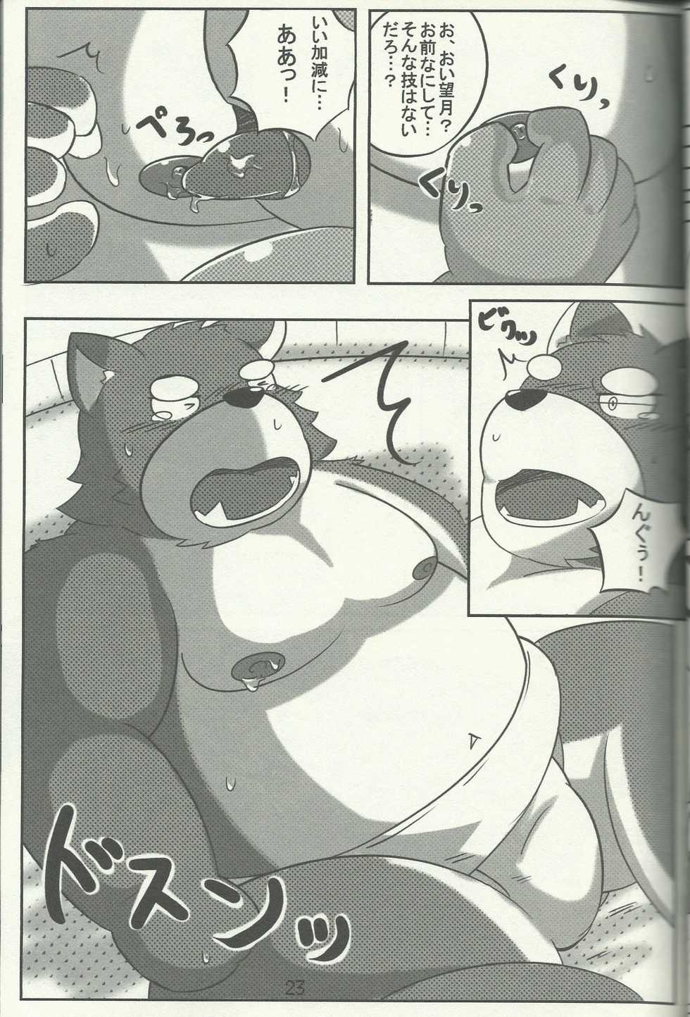 (Kemoket 4) [TFWS (Various)] DSKY Go - Page 23