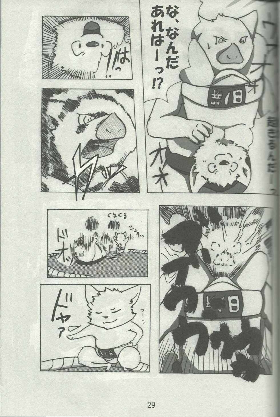 (Kemoket 4) [TFWS (Various)] DSKY Go - Page 29