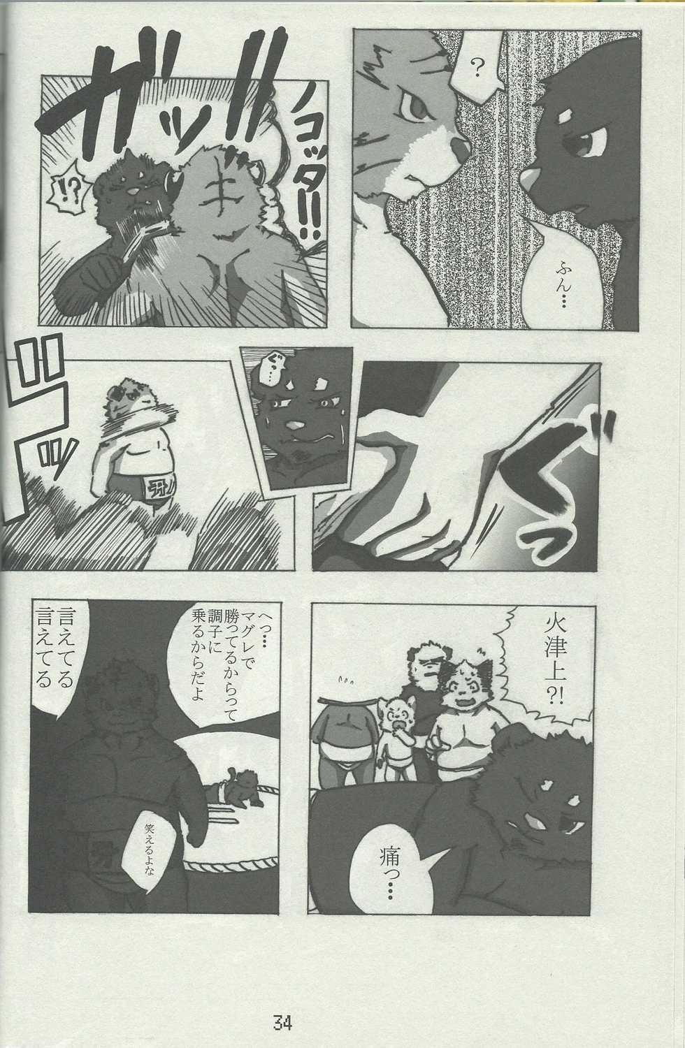 (Kemoket 4) [TFWS (Various)] DSKY Go - Page 34