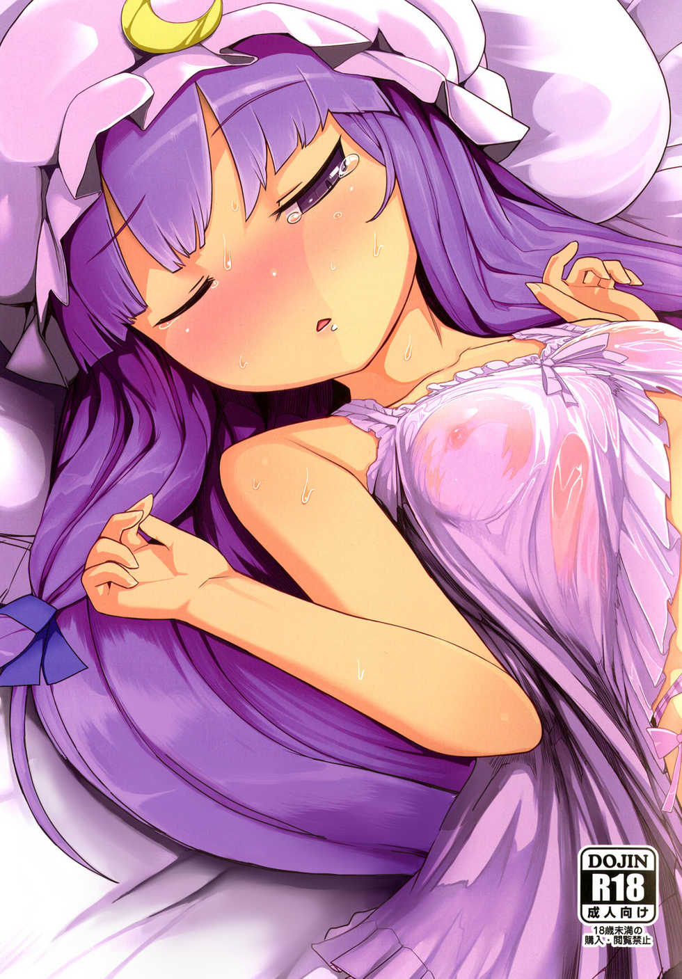 [Yashiya (Yassy)] Patche-san no Neteru Aida ni (Touhou Project) [Textless] [Digital] - Page 1