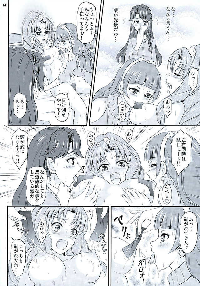 (C89) [Himitsu Doyoubi (Matsutaka Zon)] Pretty na Store Gentei Yakinori (Go! Princess PreCure) - Page 15