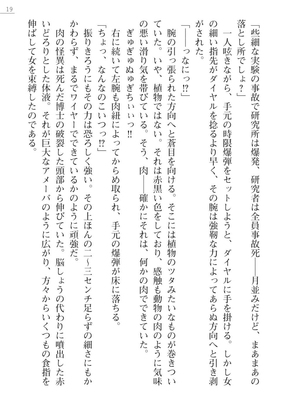 [Myrage, Akitsuki Karasu] Code Name wa Angel - Page 19