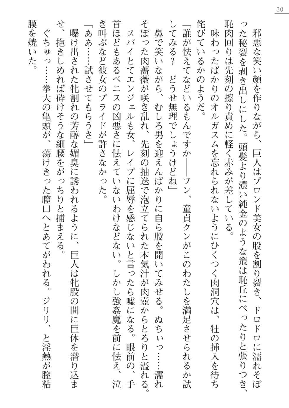 [Myrage, Akitsuki Karasu] Code Name wa Angel - Page 30