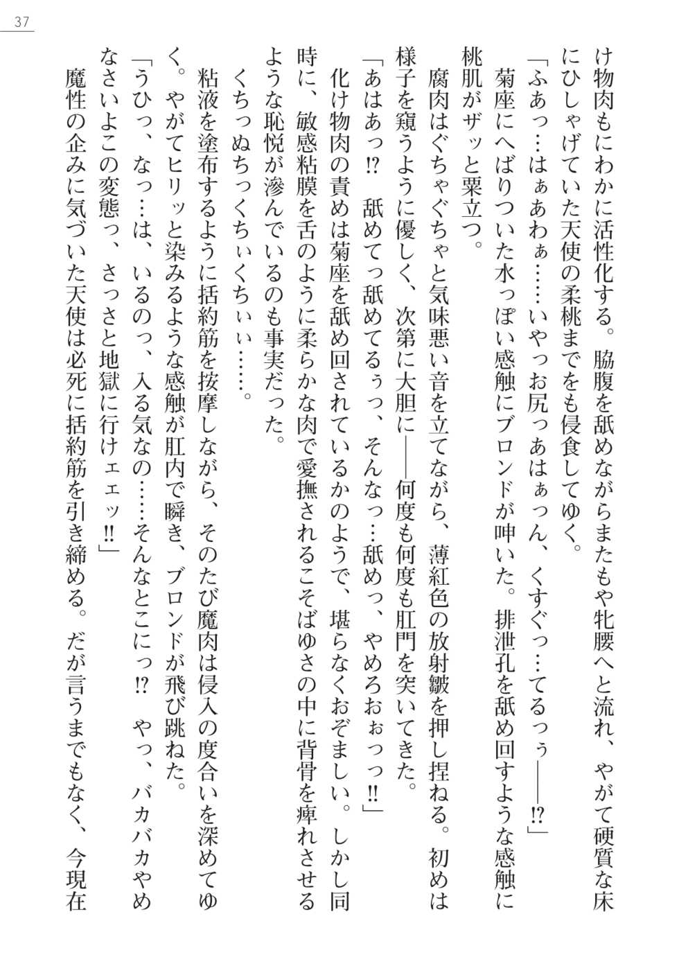 [Myrage, Akitsuki Karasu] Code Name wa Angel - Page 37