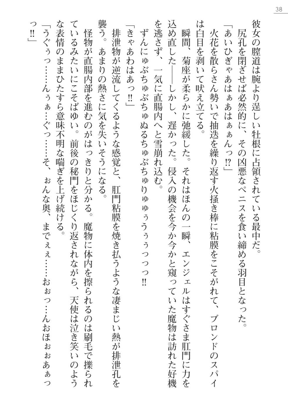 [Myrage, Akitsuki Karasu] Code Name wa Angel - Page 38