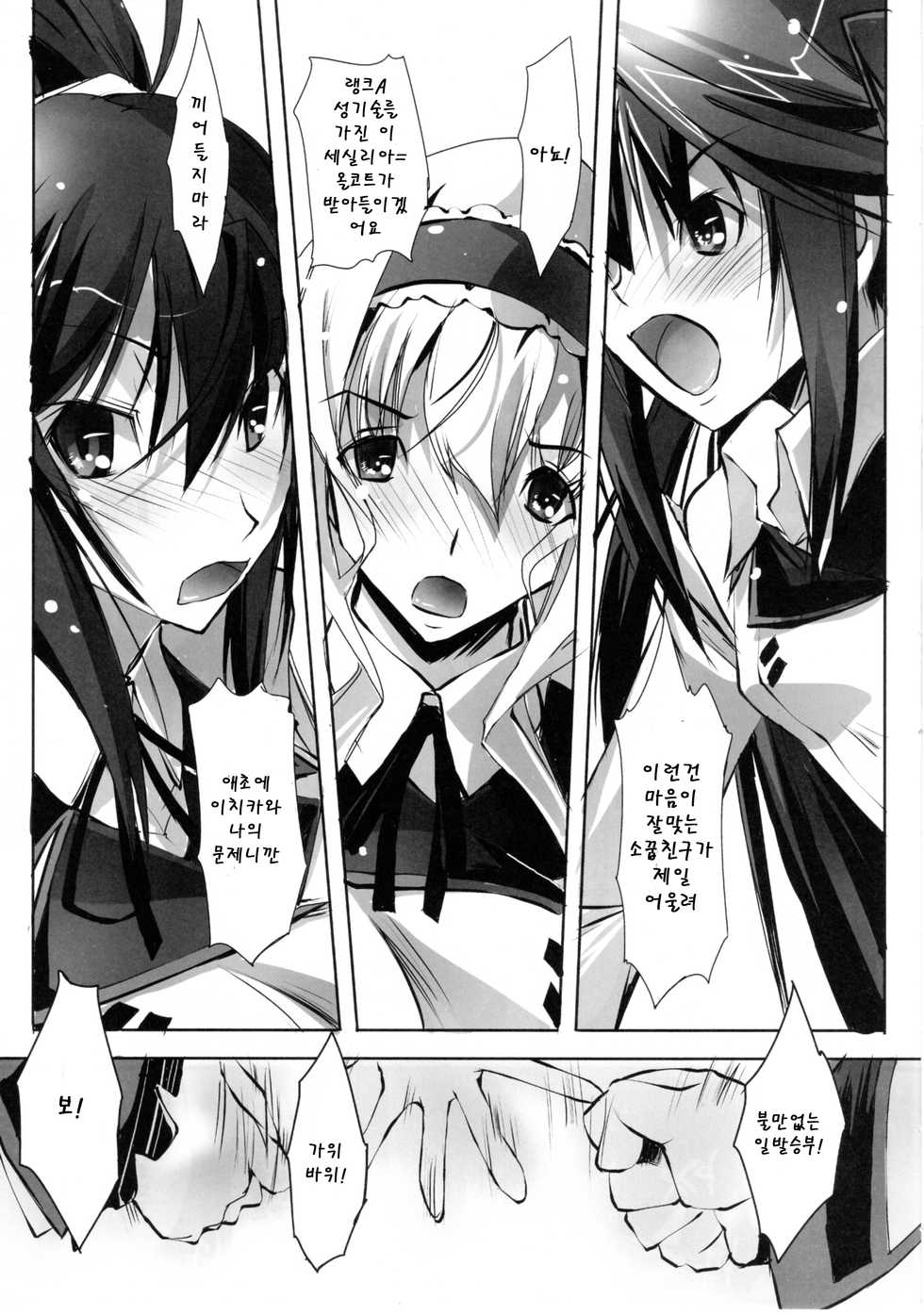 (SC50) [RYU-SEKI-DO (Nagare Hyo-go)] LS Lovers Striker (IS <Infinite Stratos>) [Korean] [Team Arcana] - Page 4