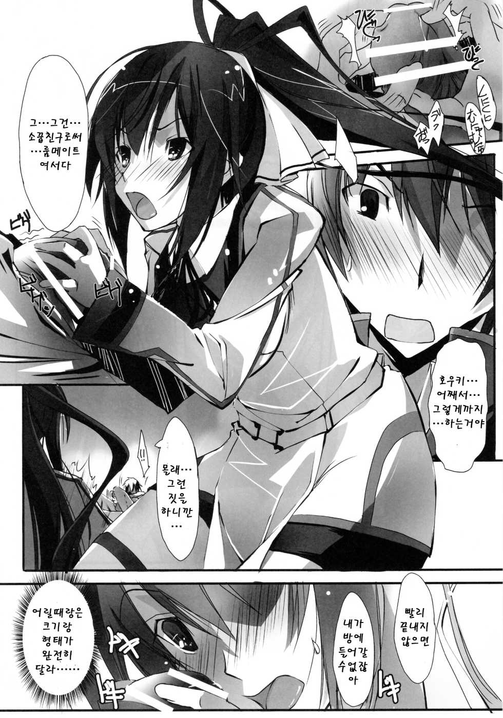 (SC50) [RYU-SEKI-DO (Nagare Hyo-go)] LS Lovers Striker (IS <Infinite Stratos>) [Korean] [Team Arcana] - Page 5