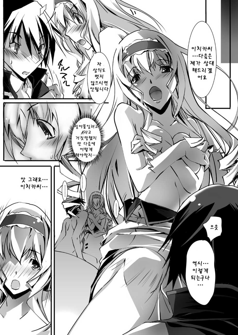 (SC50) [RYU-SEKI-DO (Nagare Hyo-go)] LS Lovers Striker (IS <Infinite Stratos>) [Korean] [Team Arcana] - Page 10
