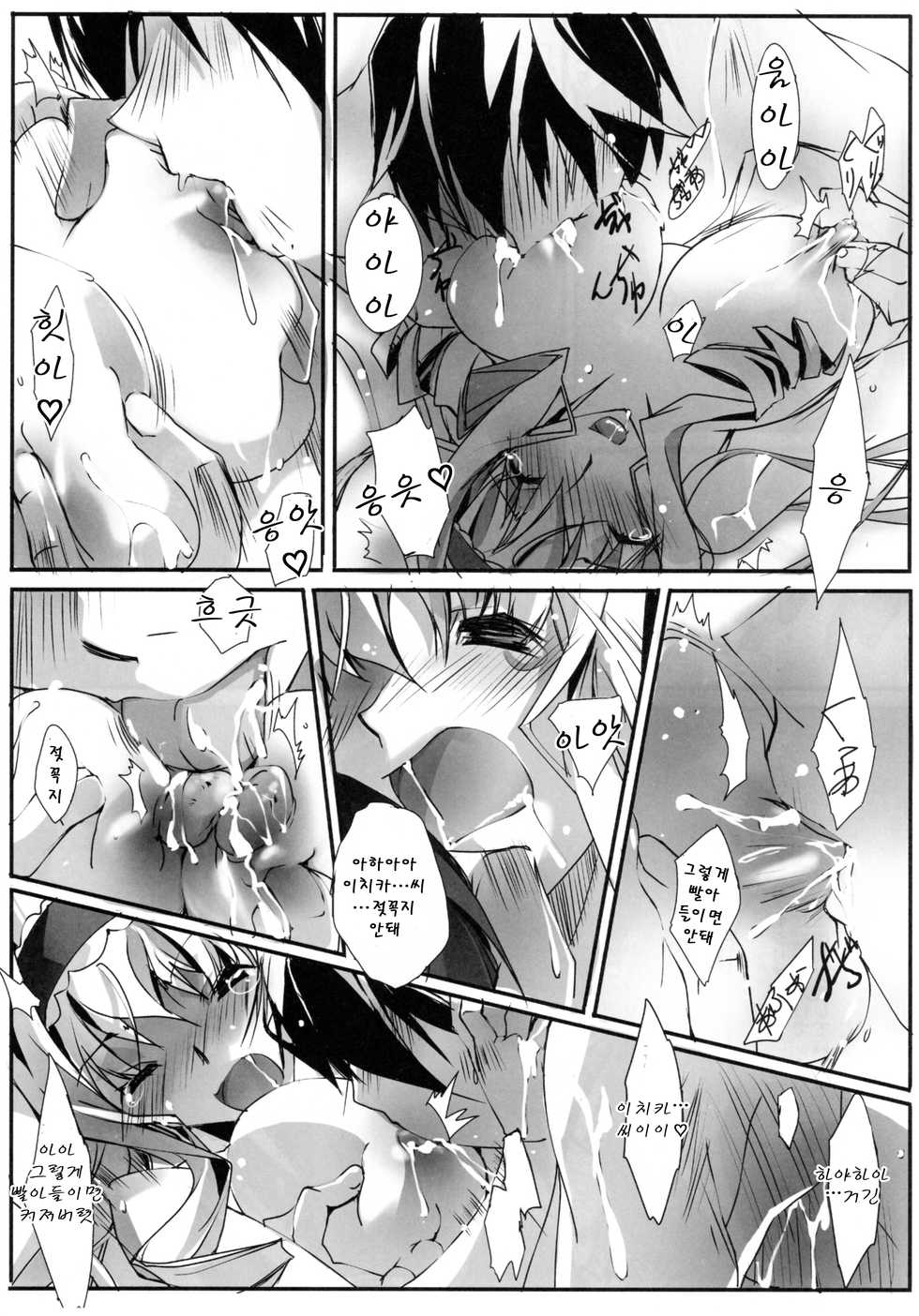 (SC50) [RYU-SEKI-DO (Nagare Hyo-go)] LS Lovers Striker (IS <Infinite Stratos>) [Korean] [Team Arcana] - Page 12