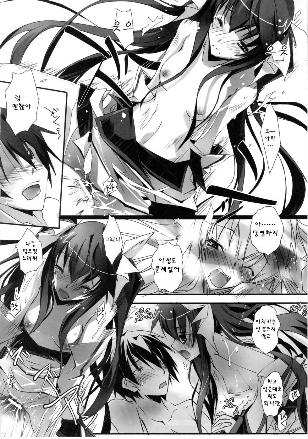 (SC50) [RYU-SEKI-DO (Nagare Hyo-go)] LS Lovers Striker (IS <Infinite Stratos>) [Korean] [Team Arcana] - Page 17