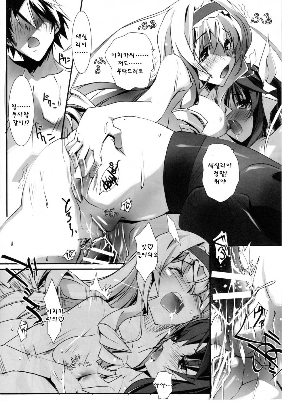 (SC50) [RYU-SEKI-DO (Nagare Hyo-go)] LS Lovers Striker (IS <Infinite Stratos>) [Korean] [Team Arcana] - Page 19