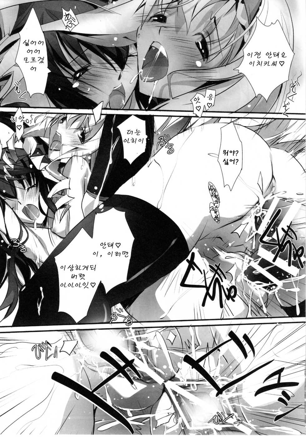(SC50) [RYU-SEKI-DO (Nagare Hyo-go)] LS Lovers Striker (IS <Infinite Stratos>) [Korean] [Team Arcana] - Page 22