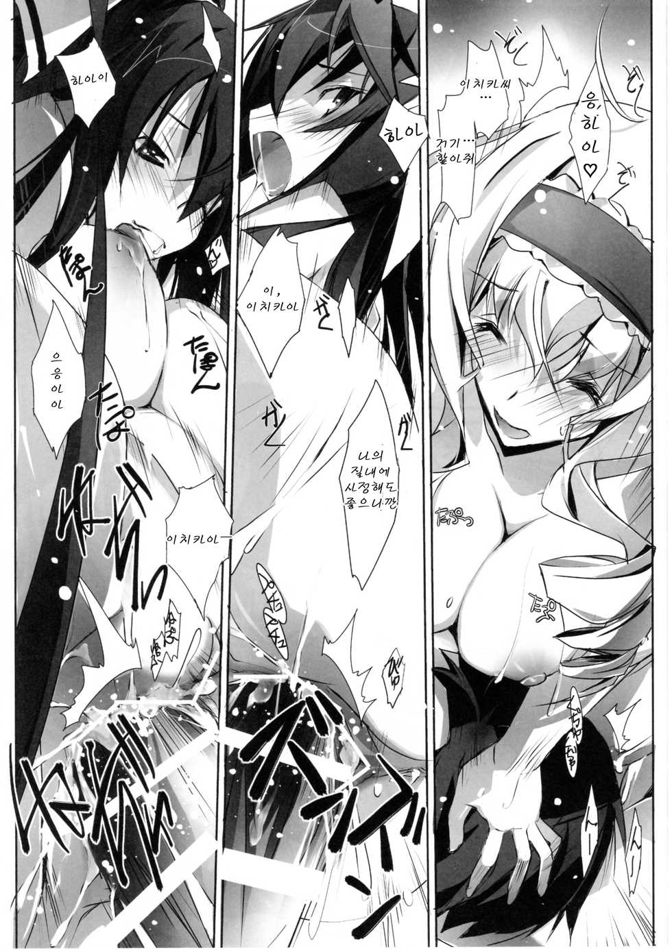 (SC50) [RYU-SEKI-DO (Nagare Hyo-go)] LS Lovers Striker (IS <Infinite Stratos>) [Korean] [Team Arcana] - Page 29