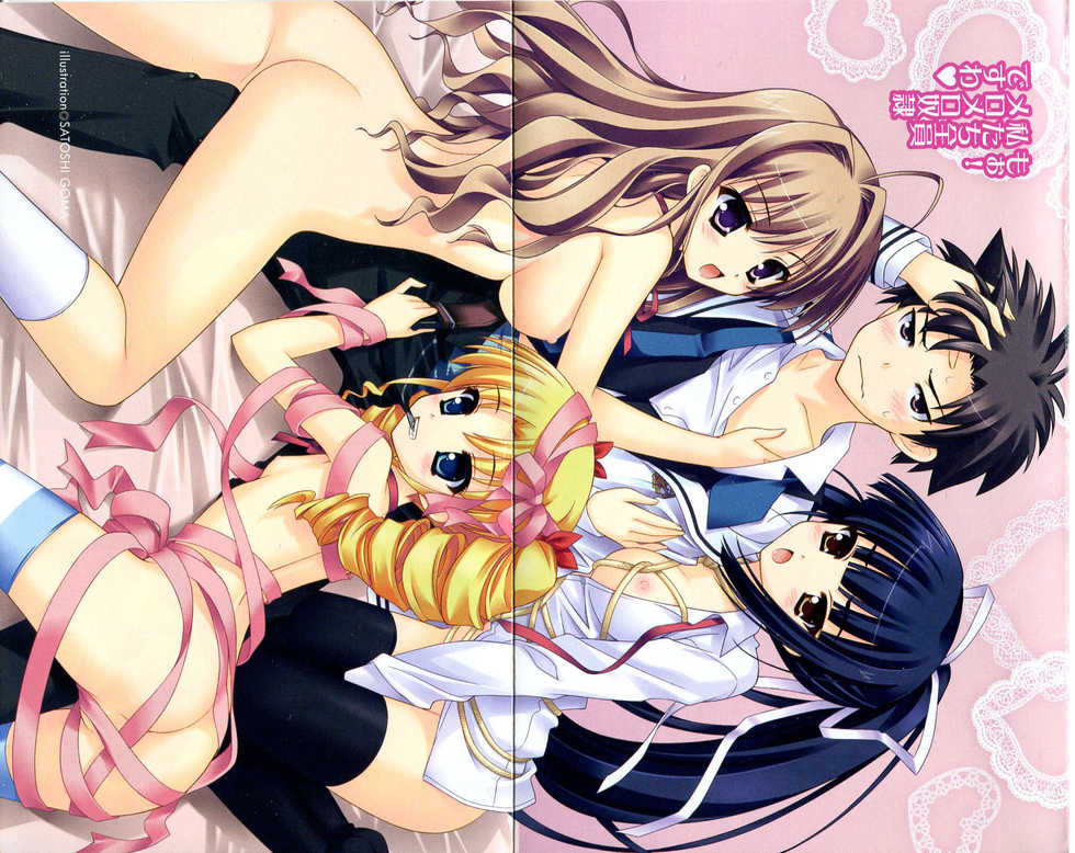 [Tatsumi Hirohiko, Goma Satoshi] Dore-cho! Seitokai Dorei Choukyou - Page 4