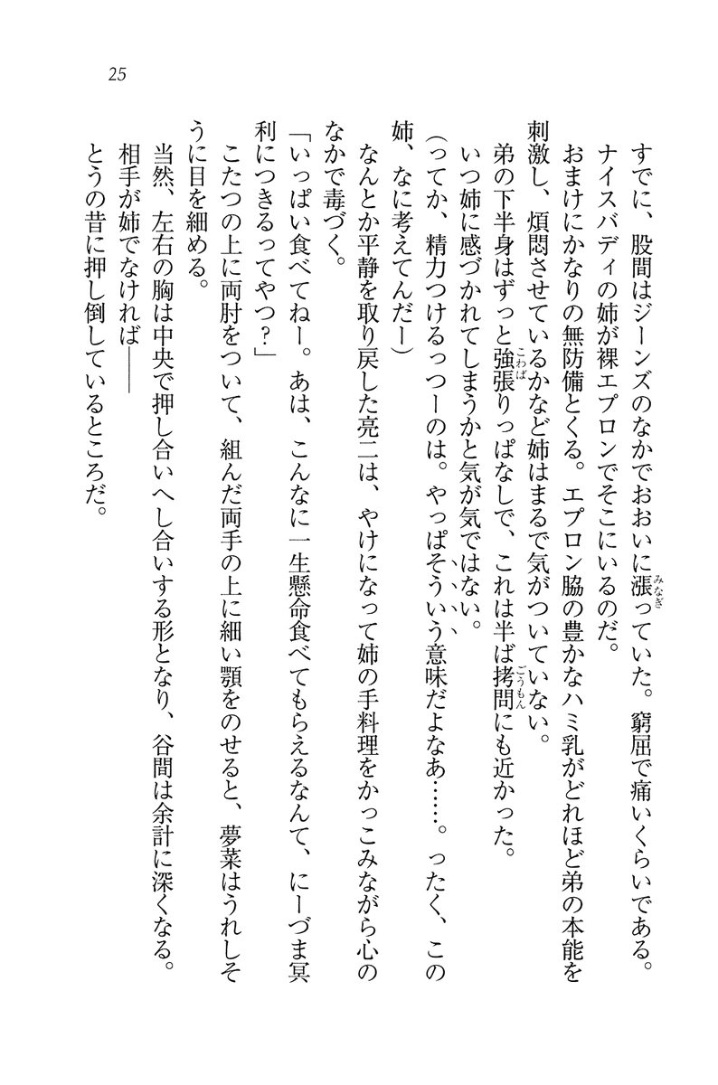 [Mikazuki Kougetsu, Kannazuki Nem] Onee-chan wa Niizuma damon - Page 27