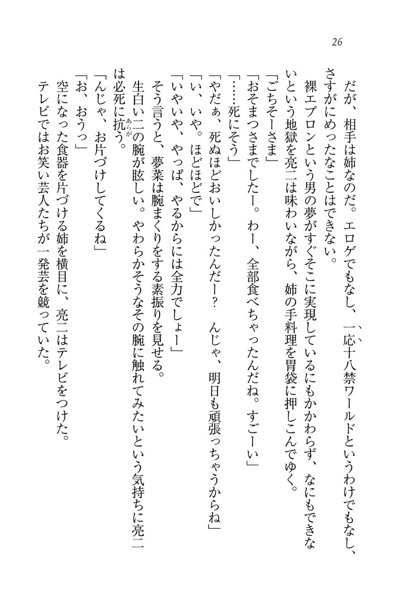 [Mikazuki Kougetsu, Kannazuki Nem] Onee-chan wa Niizuma damon - Page 28