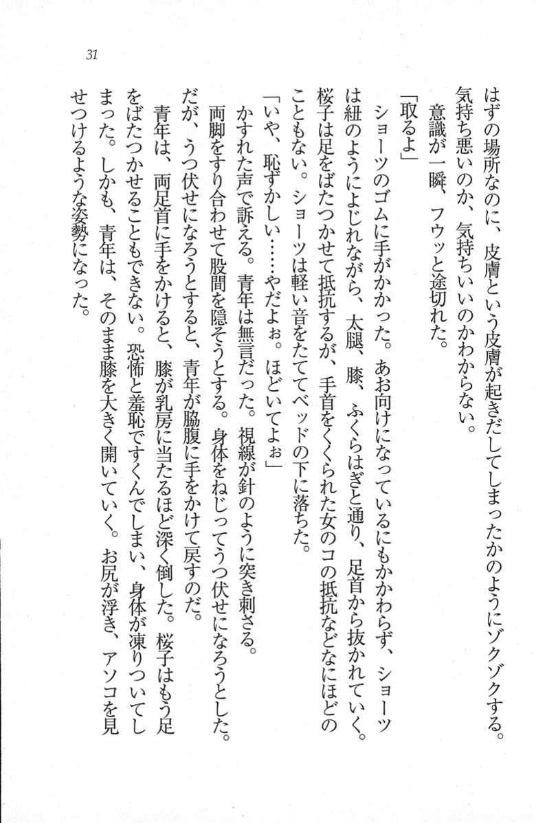 [Wakatsuki Hikaru, Mizuki Haruto] Kouyasai - Kimi o Ijimetai - Page 31