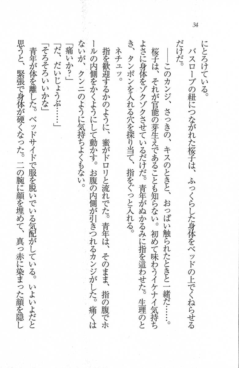 [Wakatsuki Hikaru, Mizuki Haruto] Kouyasai - Kimi o Ijimetai - Page 34