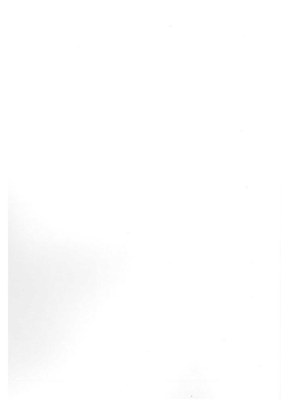 (Kiwami Touhou Kamuisai 4) [YAMADA AIR BASE (Zawa)] Oshioki Ranmia (Touhou Project) - Page 40