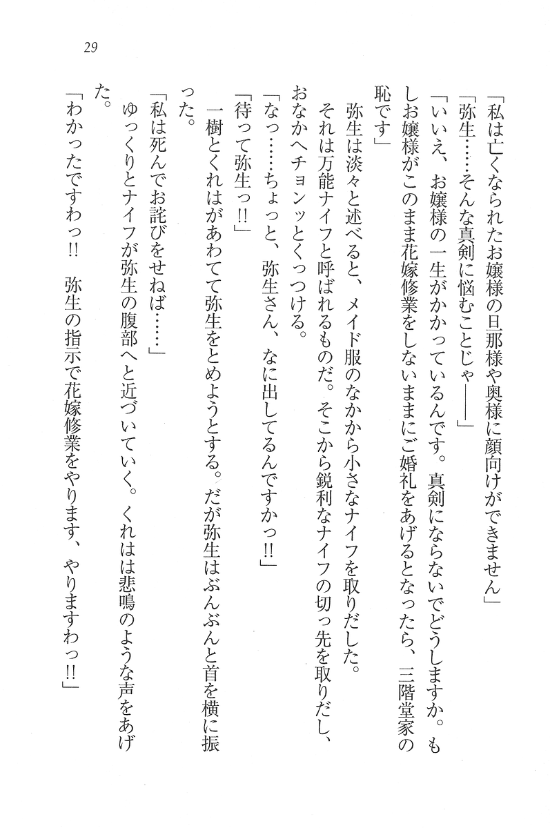 [Nanami Yuuri, Arisue Tsukasa] Ojou-sama wa Maid-sama!? - Page 30