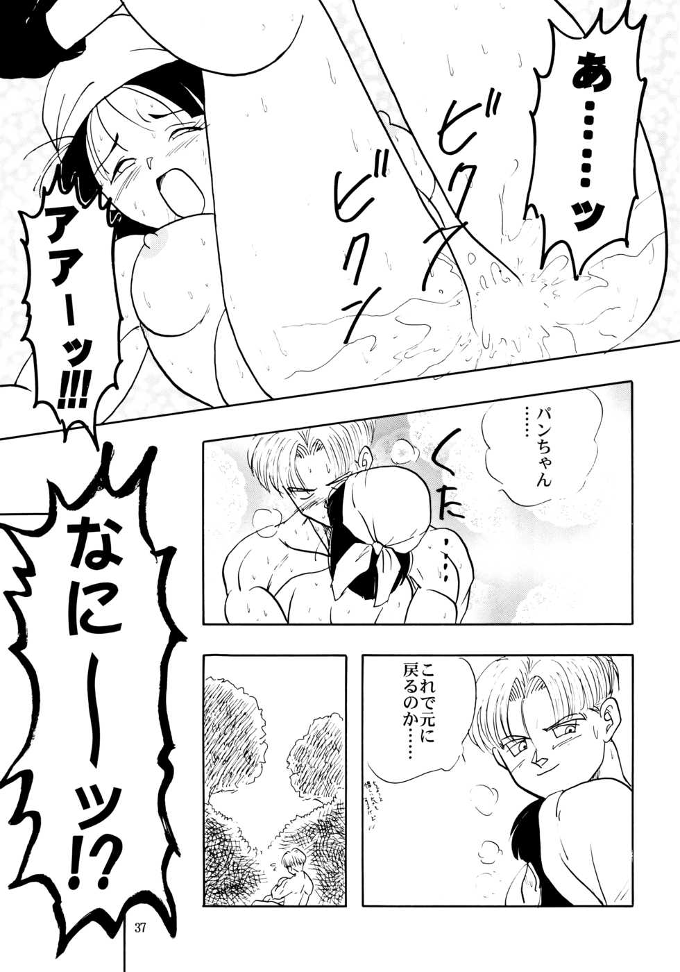 (C50) [Chirigami Goya, Fusuma Goten (Shouji Haruko)] ZZ (Dragon Ball GT) - Page 37
