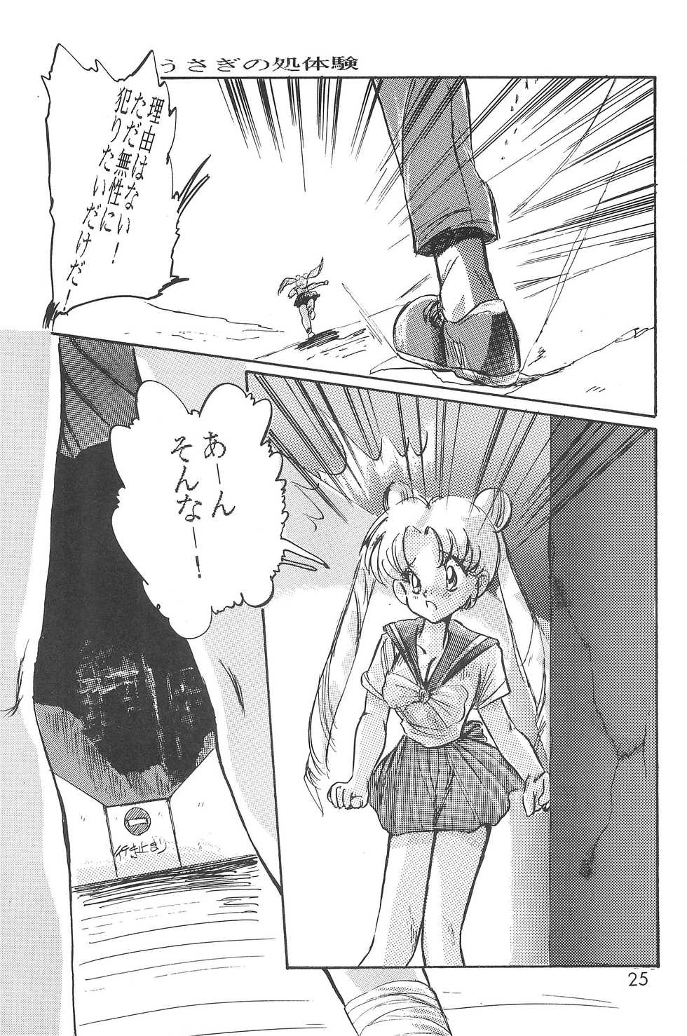 (C48) [Misty Midnight (Shirasaka Miyu)] Bikou (Bishoujo Senshi Sailor Moon) - Page 27