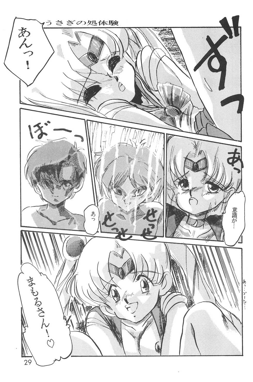 (C48) [Misty Midnight (Shirasaka Miyu)] Bikou (Bishoujo Senshi Sailor Moon) - Page 31