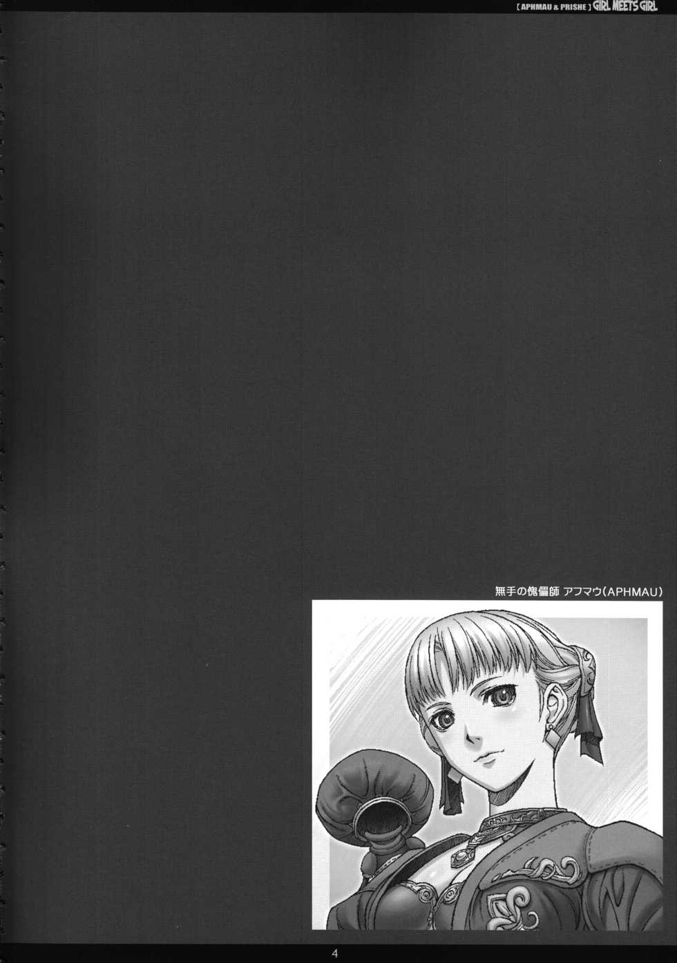 (C73) [PHANTOMCROSS (Miyagi Yasutomo)] GIRL MEETS GIRL (Final Fantasy XI) - Page 3