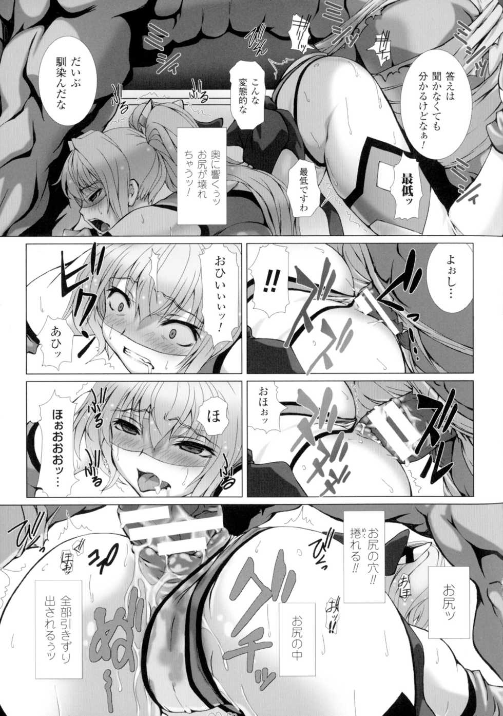 Seigi No Heroine Kangoku File