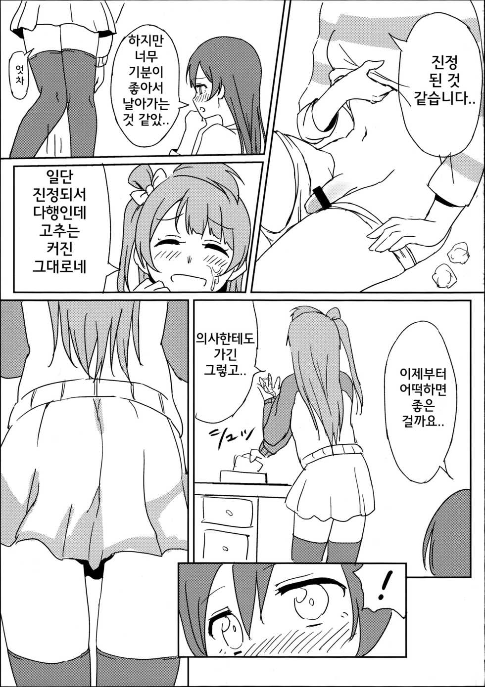 (C89) [Lipterrible (9chibiru)] Chick ToGetHer! (Love Live!) [Korean] - Page 14