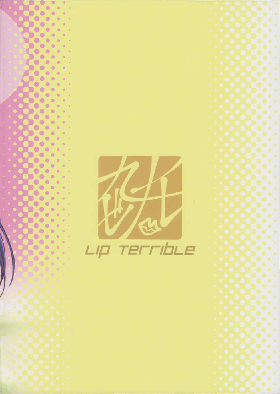 (C89) [Lipterrible (9chibiru)] Chick ToGetHer! (Love Live!) [Korean] - Page 21