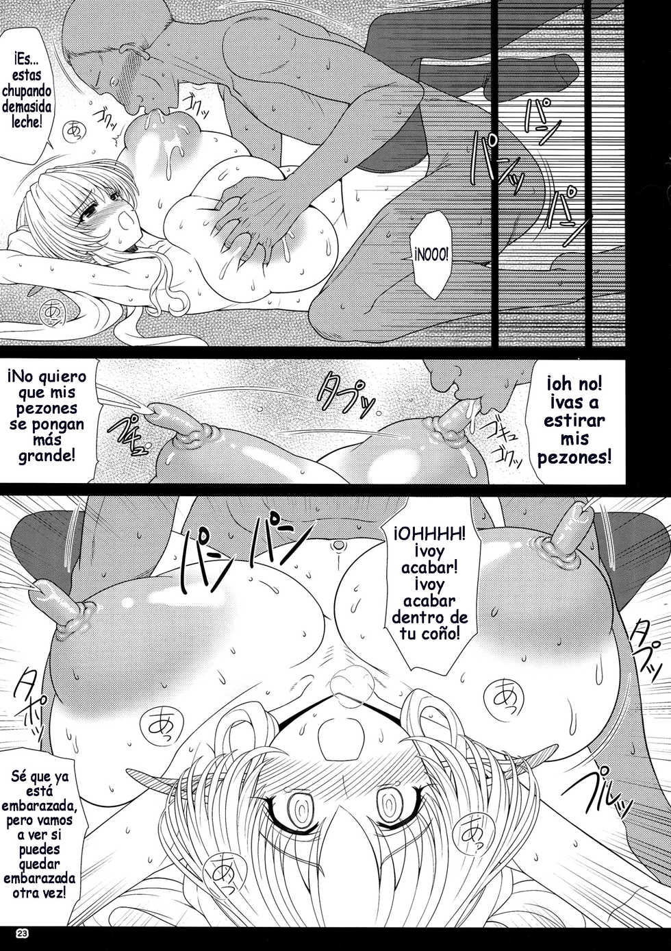 (C85) [Shoujo Kousaku (eltole)] El toiu Shoujo no Monogatari X1 | Historia de una Elfa X1 [Spanish] [V] - Page 22