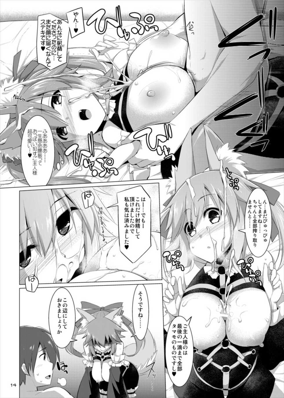 (C88) [TOYBOX, Kujira Logic (Kurikara, Kujiran)] Goshujin-sama Oppai desu yo!! 4 (Fate/EXTRA) - Page 14