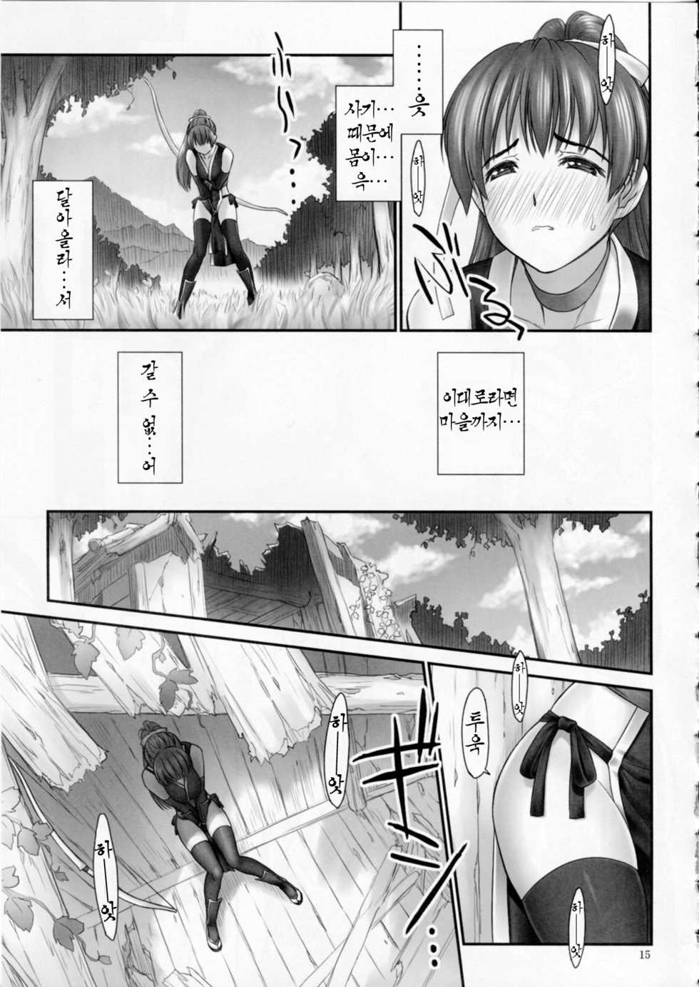 (C84) [Hellabunna (Iruma Kamiri)] Toukiden Maki no Ichi (Dead or Alive) [Korean] [팀 노고치] [Decensored] - Page 14