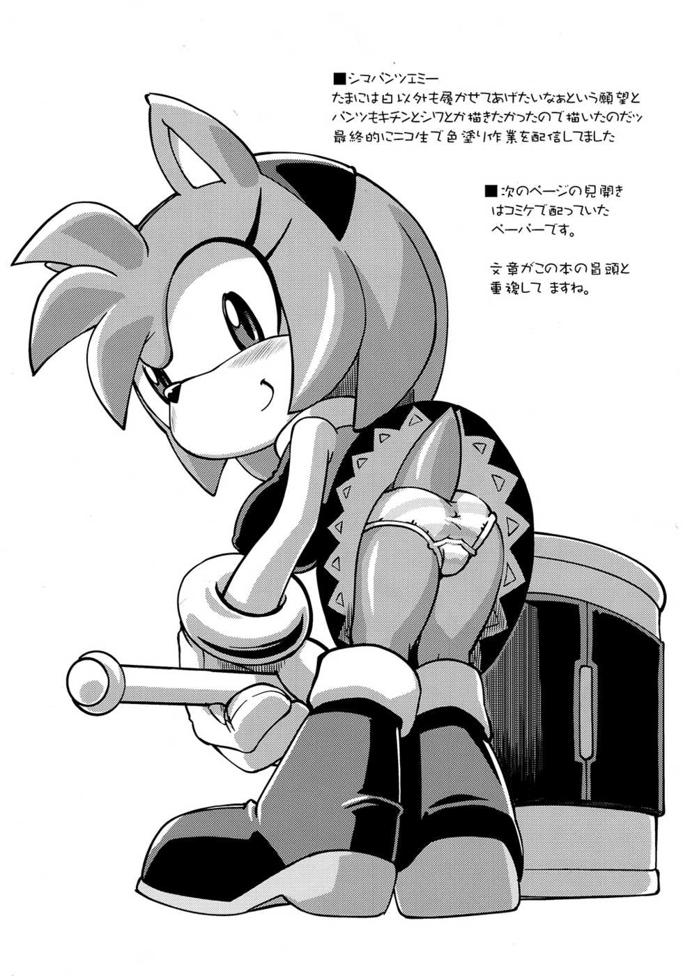 (Sega no Game wa Sekaiichi 12) [Tengai Aku Juumonji (Akuno Toujou)] Patreon de Yattemasu (Sonic the Hedgehog) - Page 18