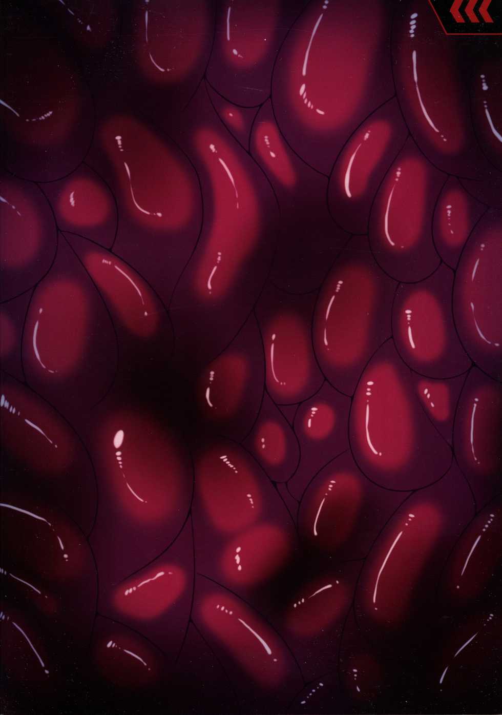 [R.c.W.d (R.c.W.d)] Yami ni Otsu Kunoichi-tachi Third (Taimanin Asagi) [Chinese] - Page 2