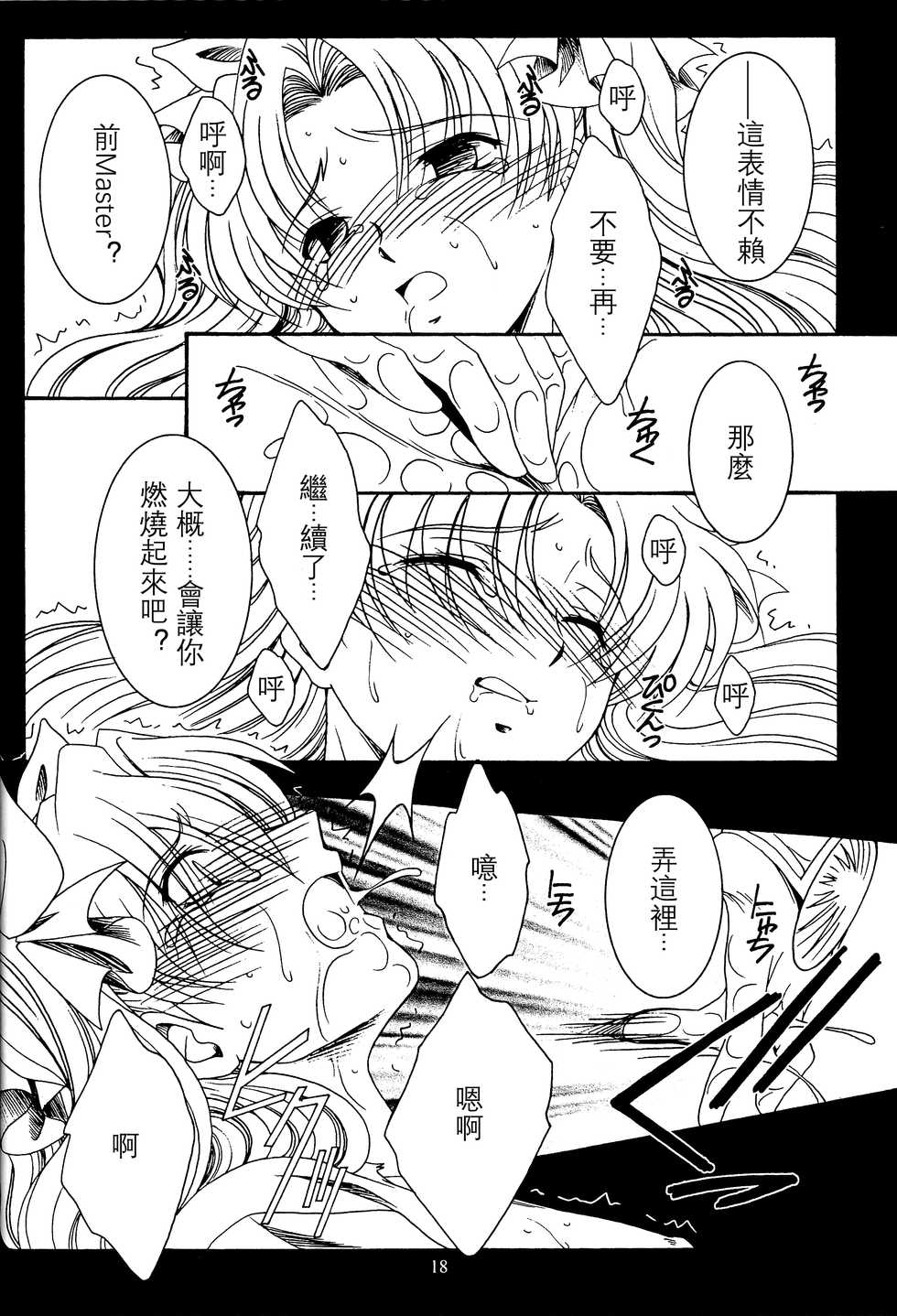 (C66) [Koubai Gekka (Kouno Binshiho)] WAY TO PERDITION (Fate/stay night) [Chinese] - Page 17