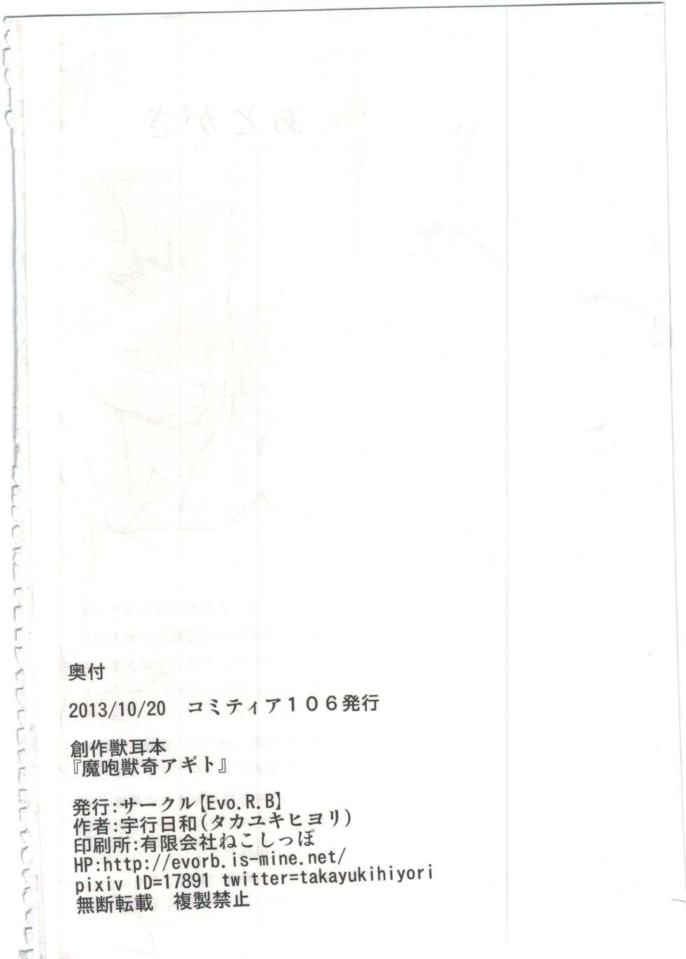 (COMITIA106) [Evo.R.B (Takayuki Hiyori)] Mahoujuuki Agito - Page 25