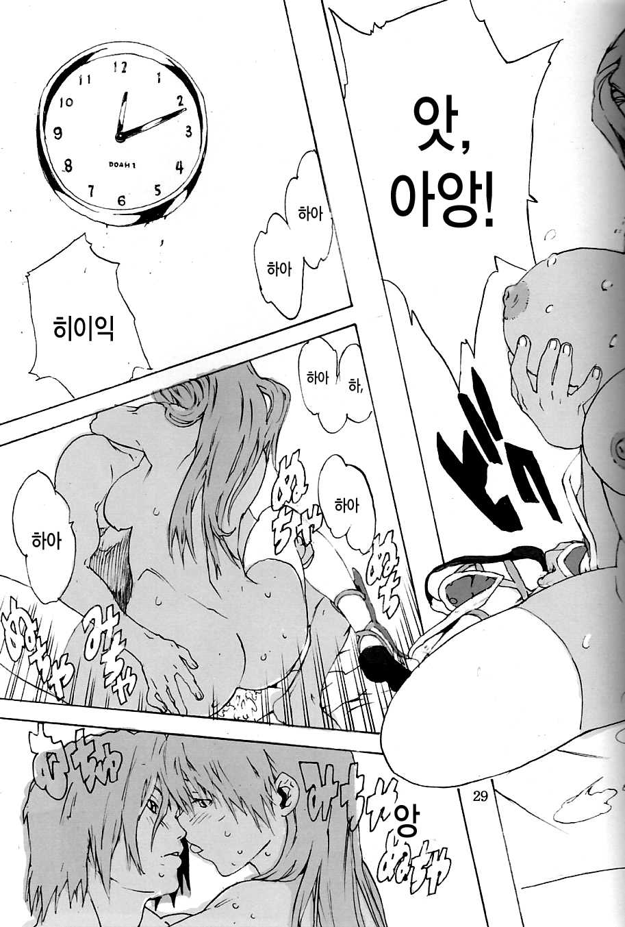 (C70) [SEVEN GODS! (Nanagami You)] DOAH 1 (Dead or Alive) [Korean] - Page 28