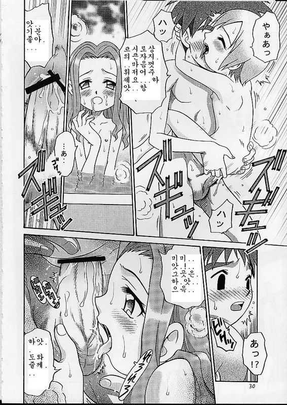 [Studio Tar (Kyouichirou)] Jou-kun, Juken de Ketsukacchin. (Digimon Adventure) [Korean] [Incomplete] - Page 27