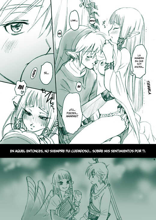 [Yamaguchirou (Yamaguchi Shinji)] Erosou de Eroku nai Sukoshi Eroi Zelda (The Legend of Zelda) [Spanish] =Mr.MPD= [Digital] - Page 9
