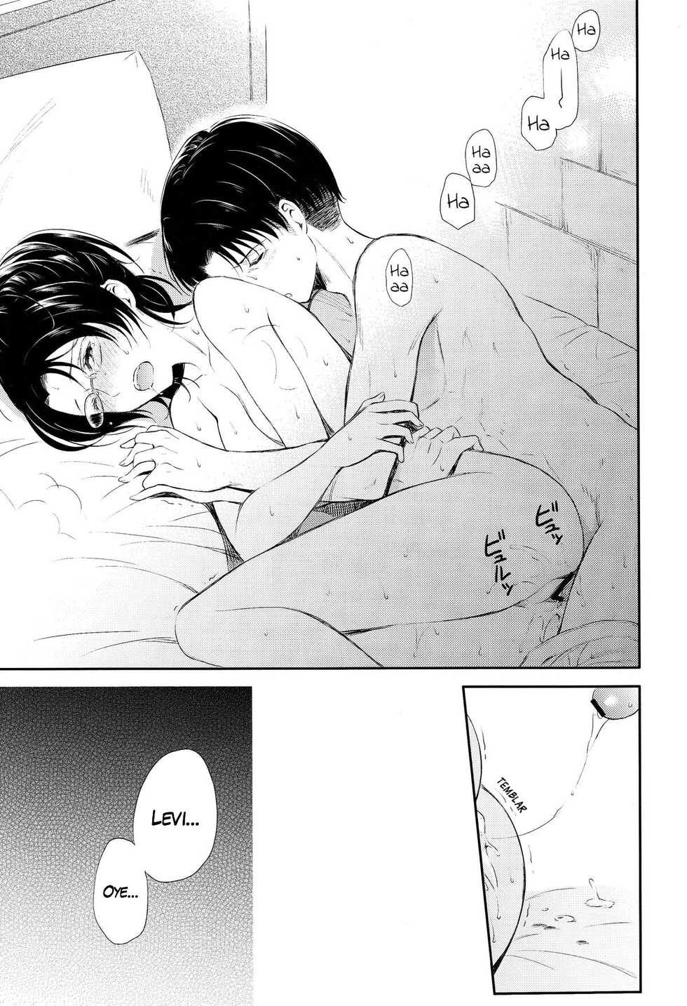 (SPARK8) [Affix (Ha-ru)] World End (Shingeki no Kyojin) [Spanish] [GlynZeldas EveryWaifus] - Page 29