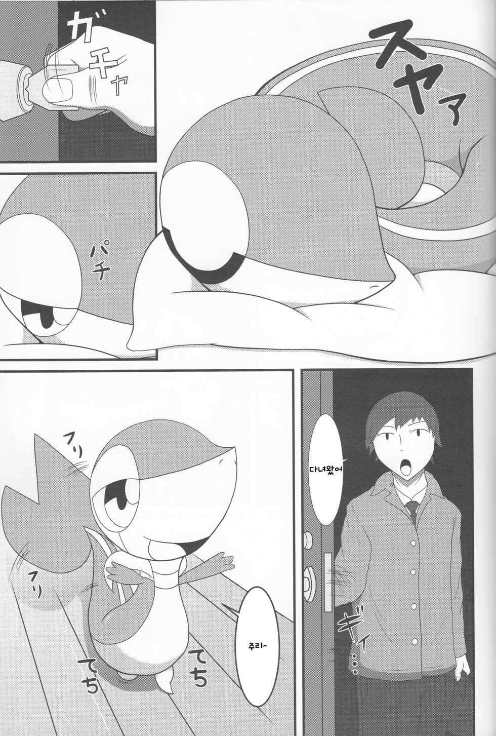 (Shinshun Kemoket 2) [Cideato (Cidea)] Nutyutaja! (Pokémon) [Korean] [존 시나] - Page 4