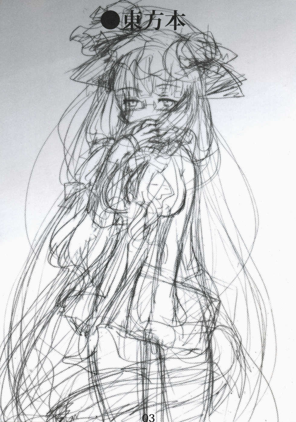 (Mimiket 19) [Burning Soul (Sakayaki)] Touhou Hon (Touhou Project) - Page 2