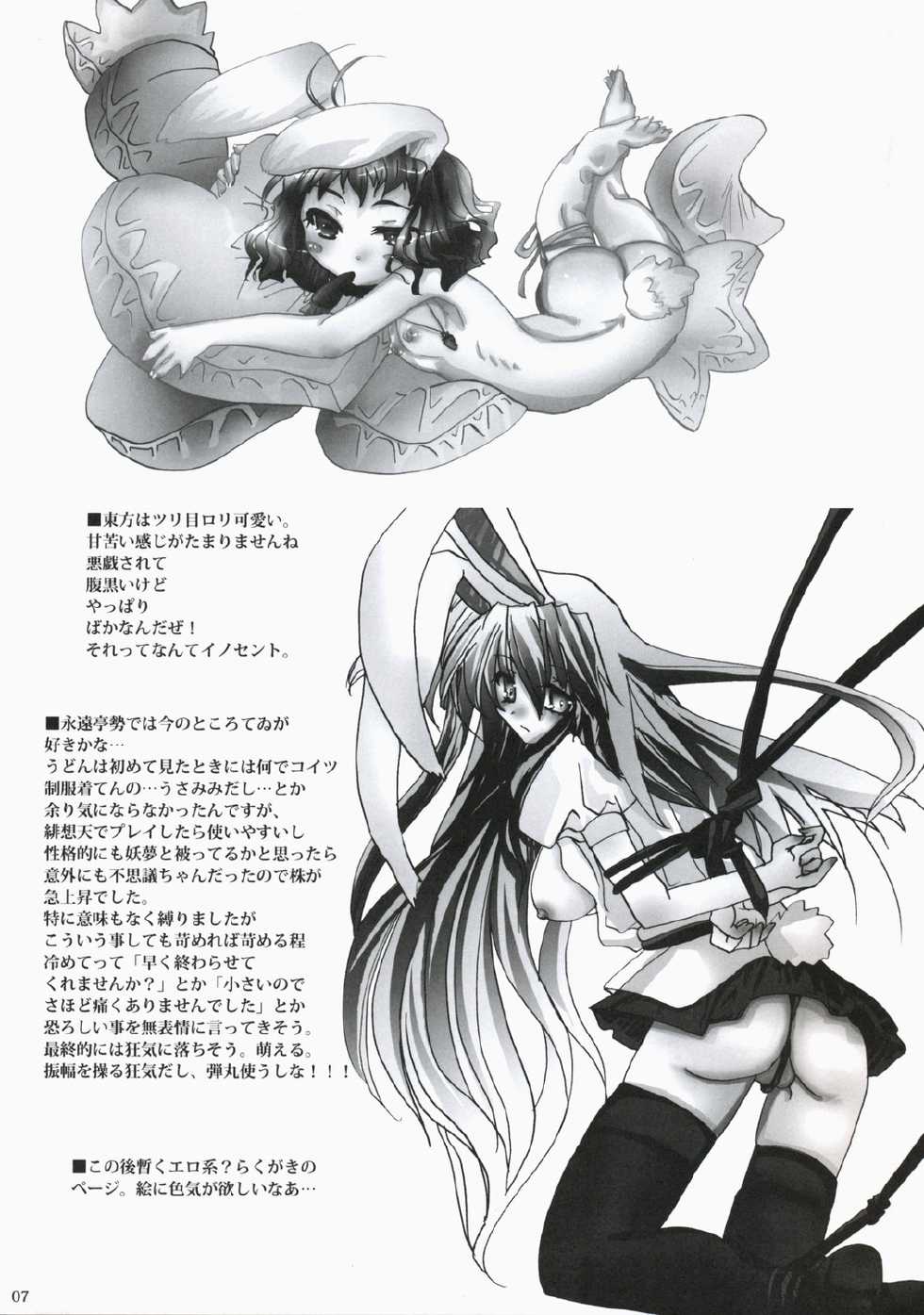 (Mimiket 19) [Burning Soul (Sakayaki)] Touhou Hon (Touhou Project) - Page 6